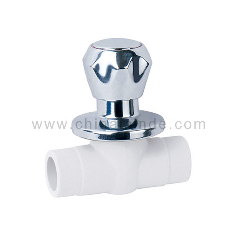 Ball Valve